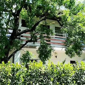 Apartament Felix Biograd